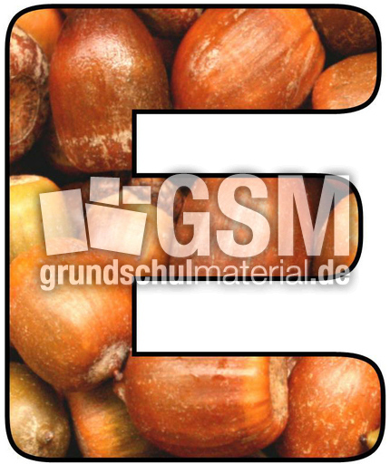 Herbstbuchstabe-4-E.jpg